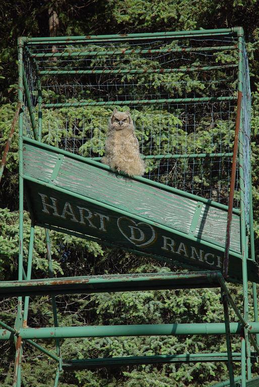 Hart D Ranch Villa Slana Bagian luar foto